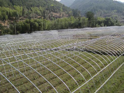 熱鍍鋅大棚管應用案例
